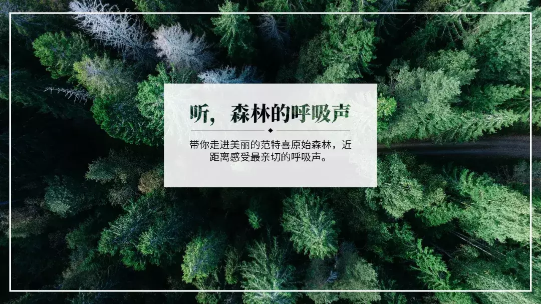 4种高大上的PPT文字效果，希望可以给你一些灵感—ppt技巧教程|叨客学习资料网-叨客学习资料网